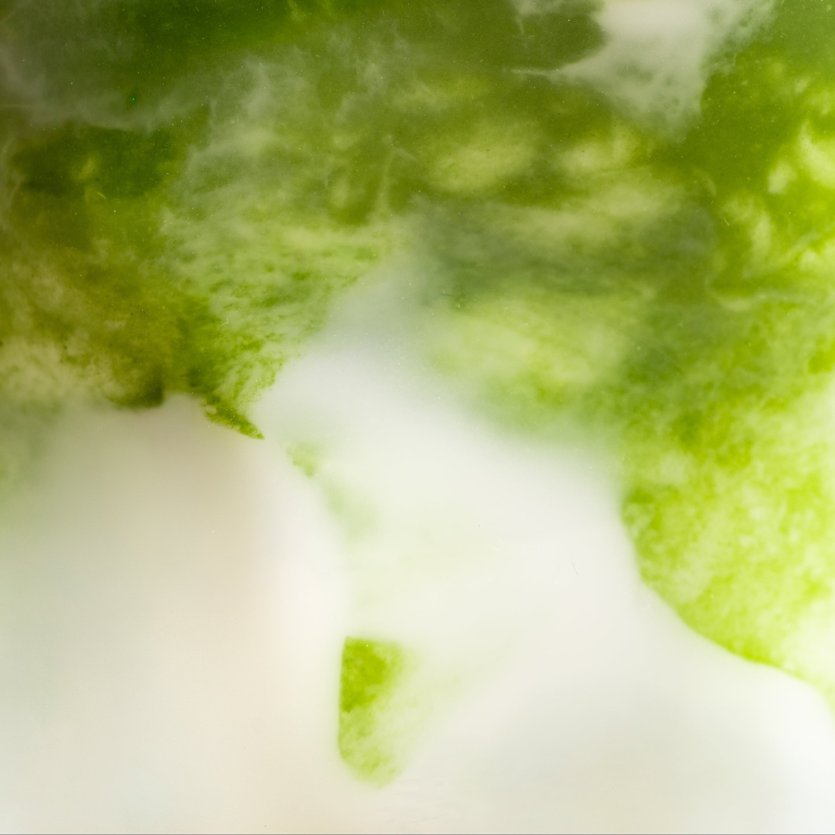 Onze 3 favoriete matcha recepten voor de zomer